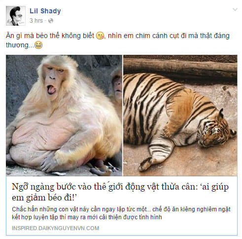 vi-du-google-adsense